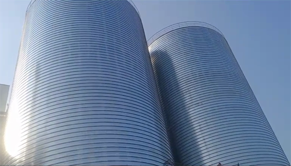 乌拉特后2座混凝土高架卷板仓